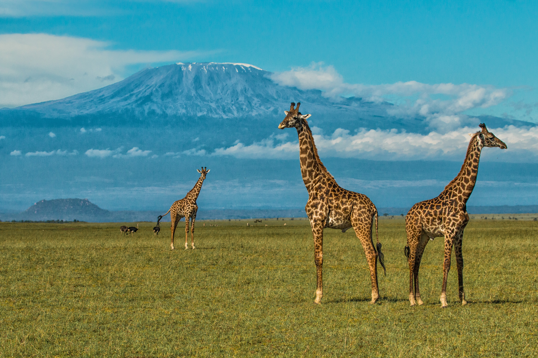 Mount Kilimanjaro