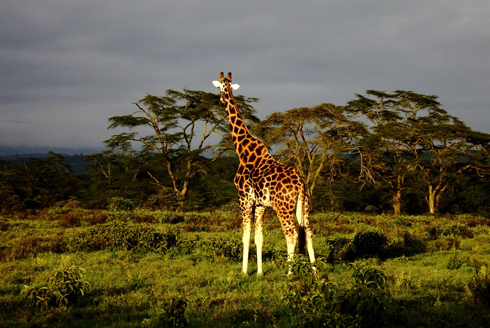 Tarangire National Park