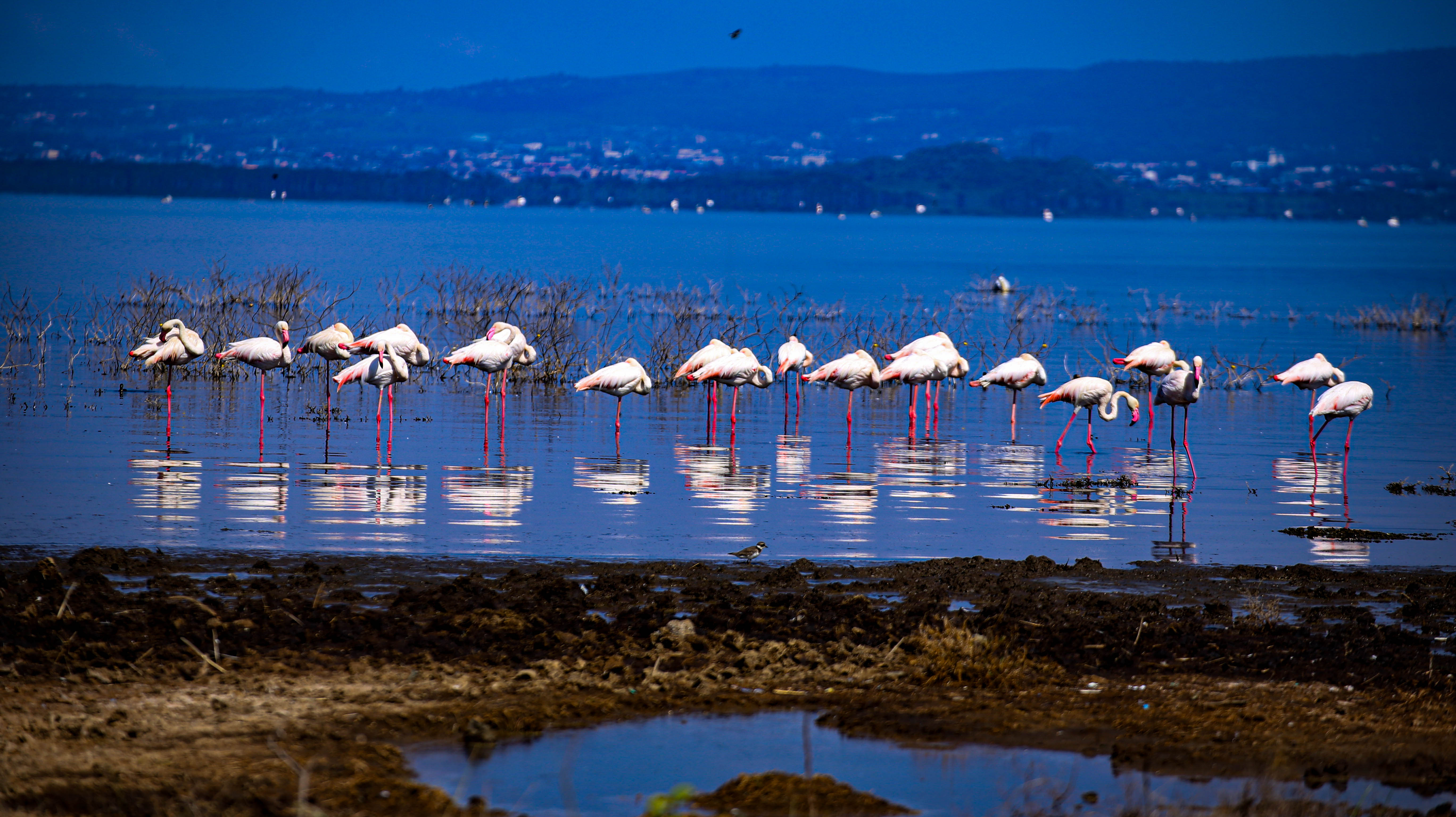 Lake Nakuru National Park