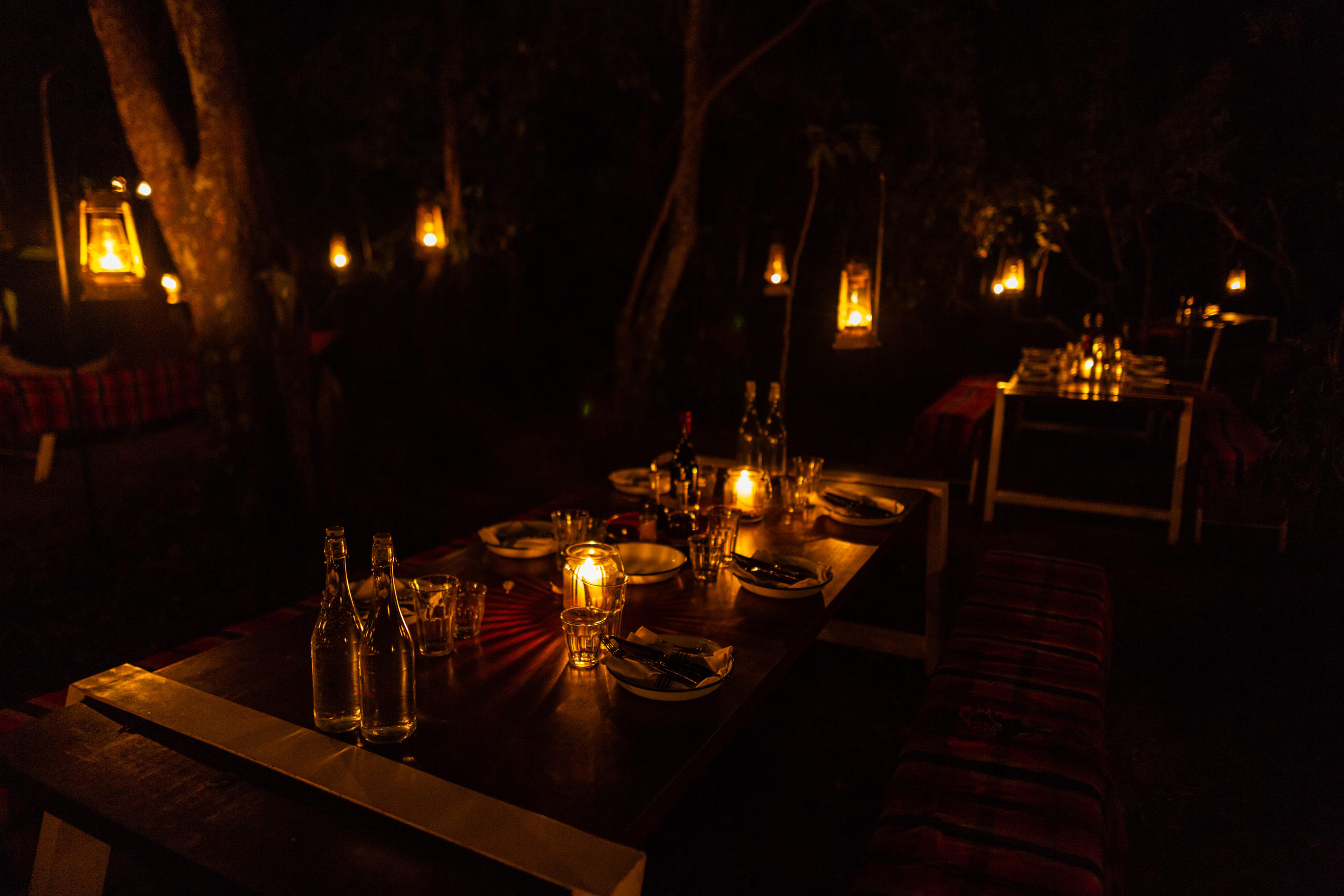 Bush Dining