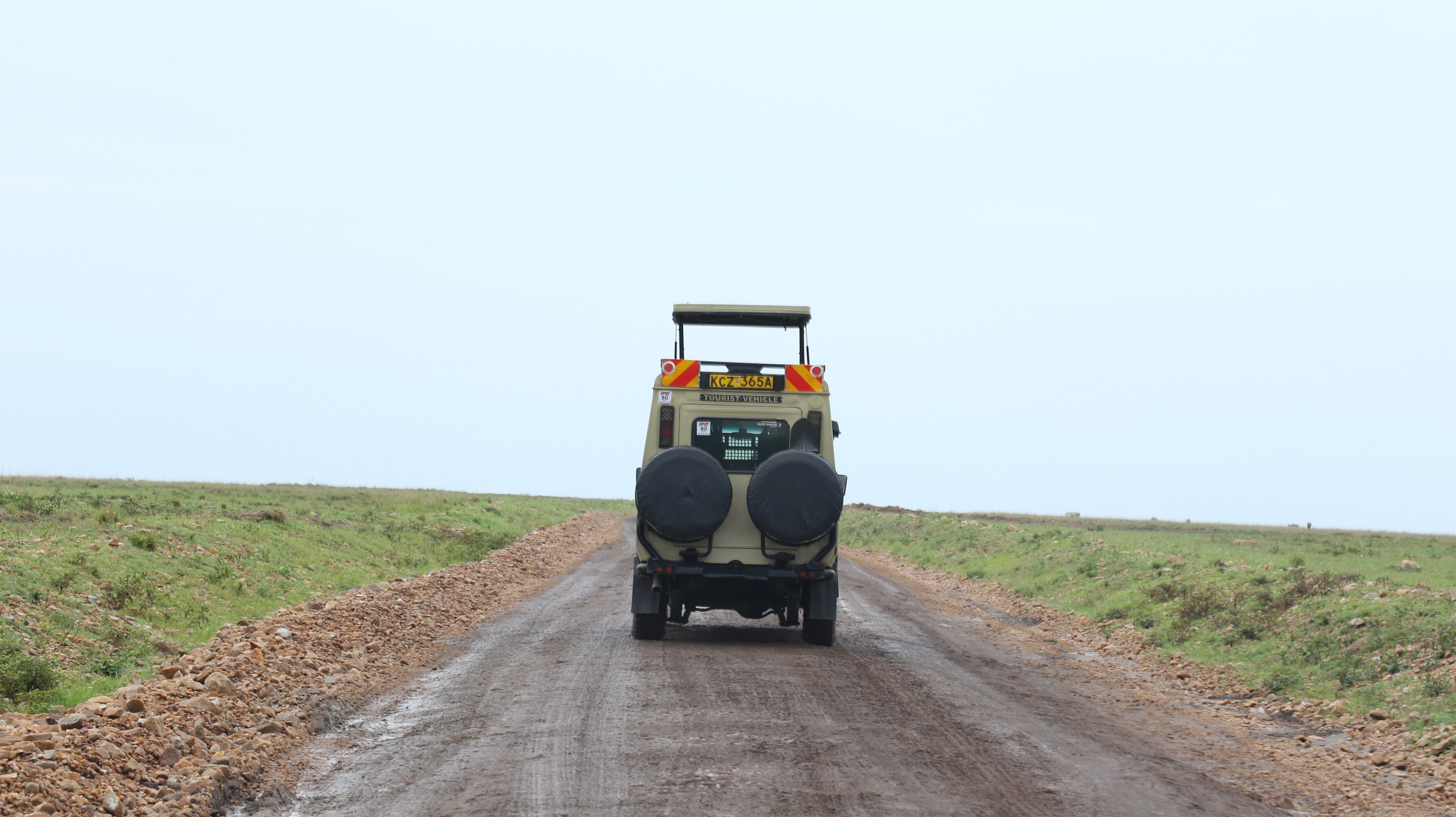 Big Five Game Drive