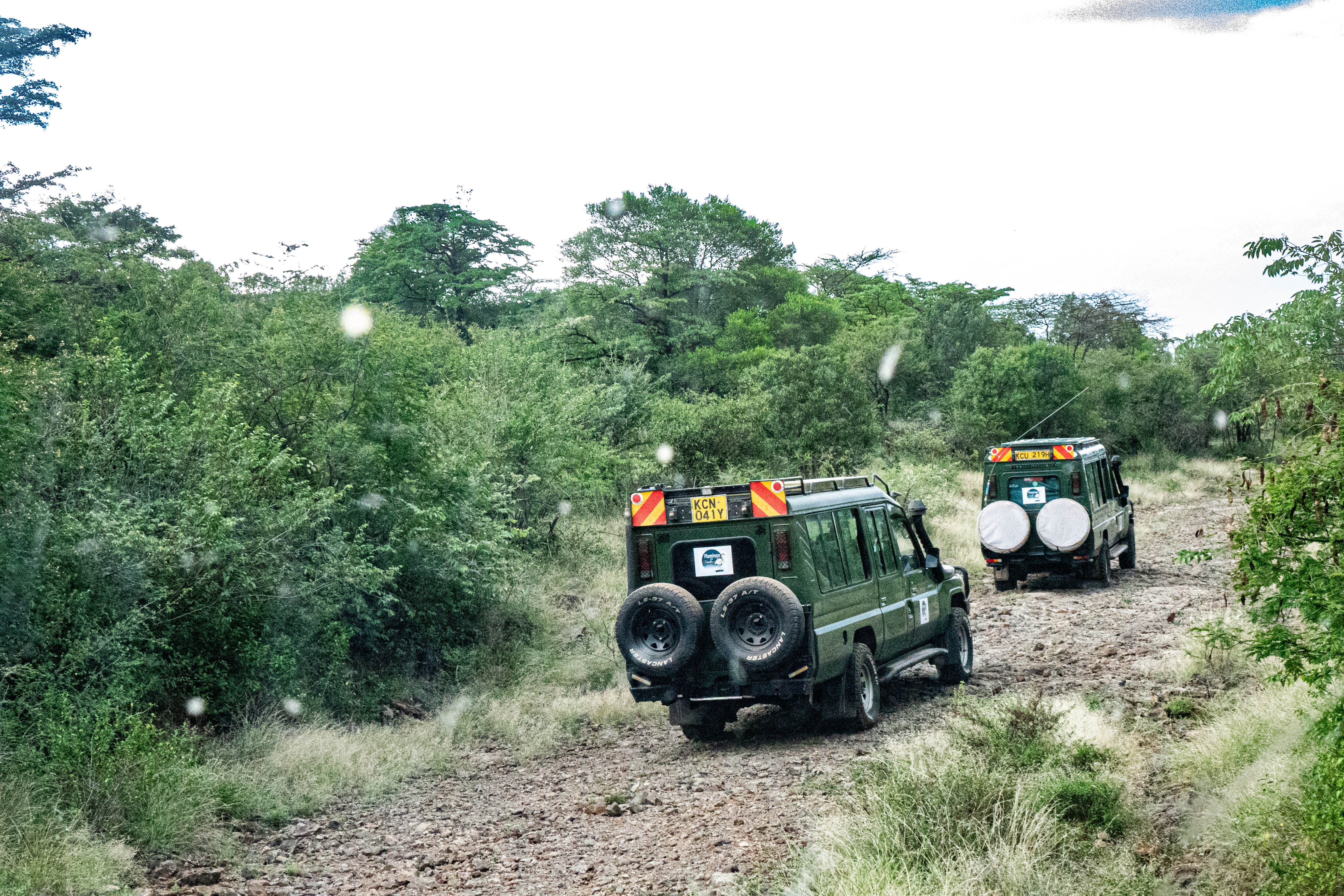Descending into Ngorongoro Crater
