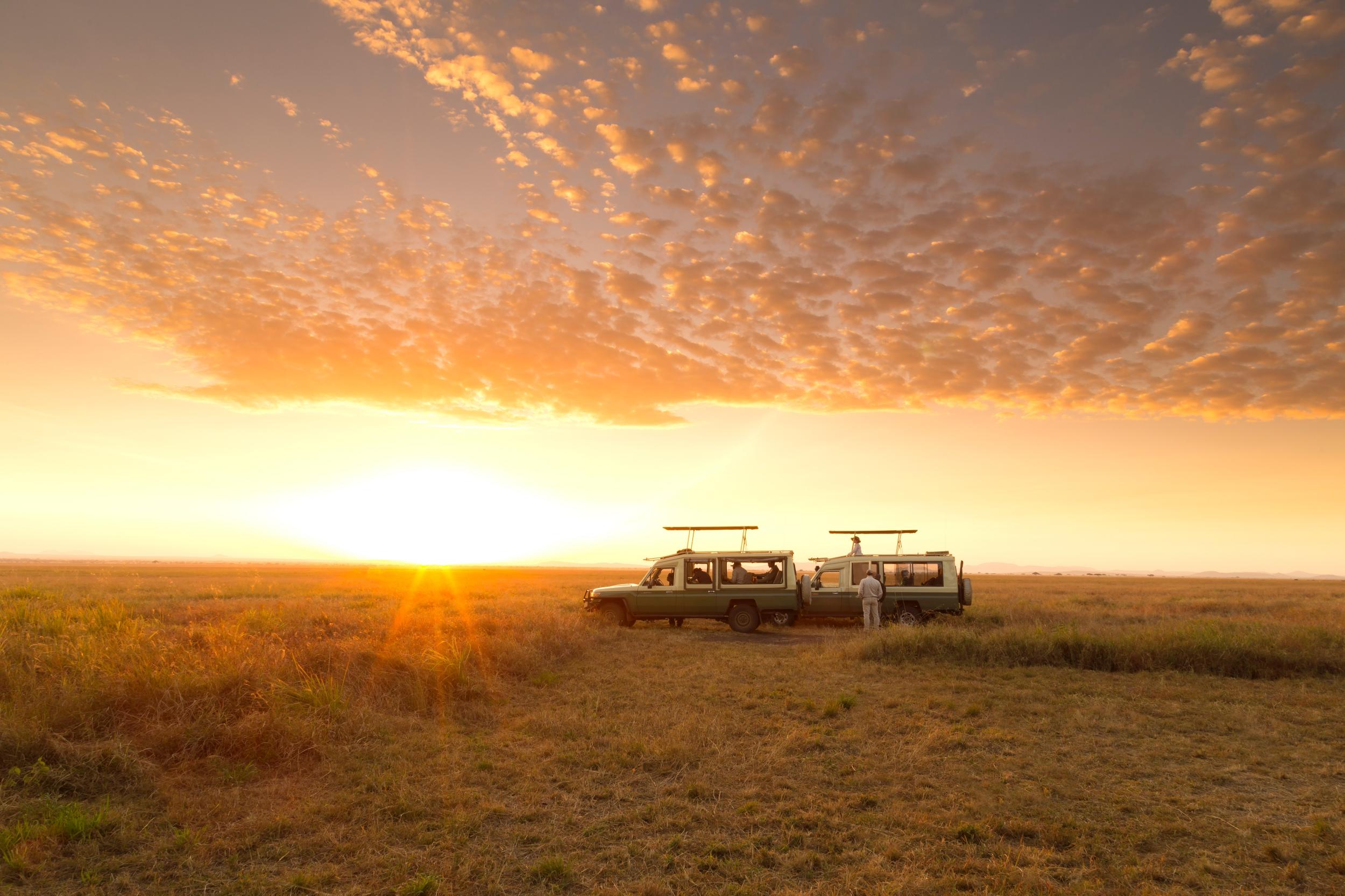 Endless Grass Plain Safaris