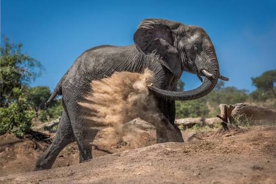 Tsavo National Park