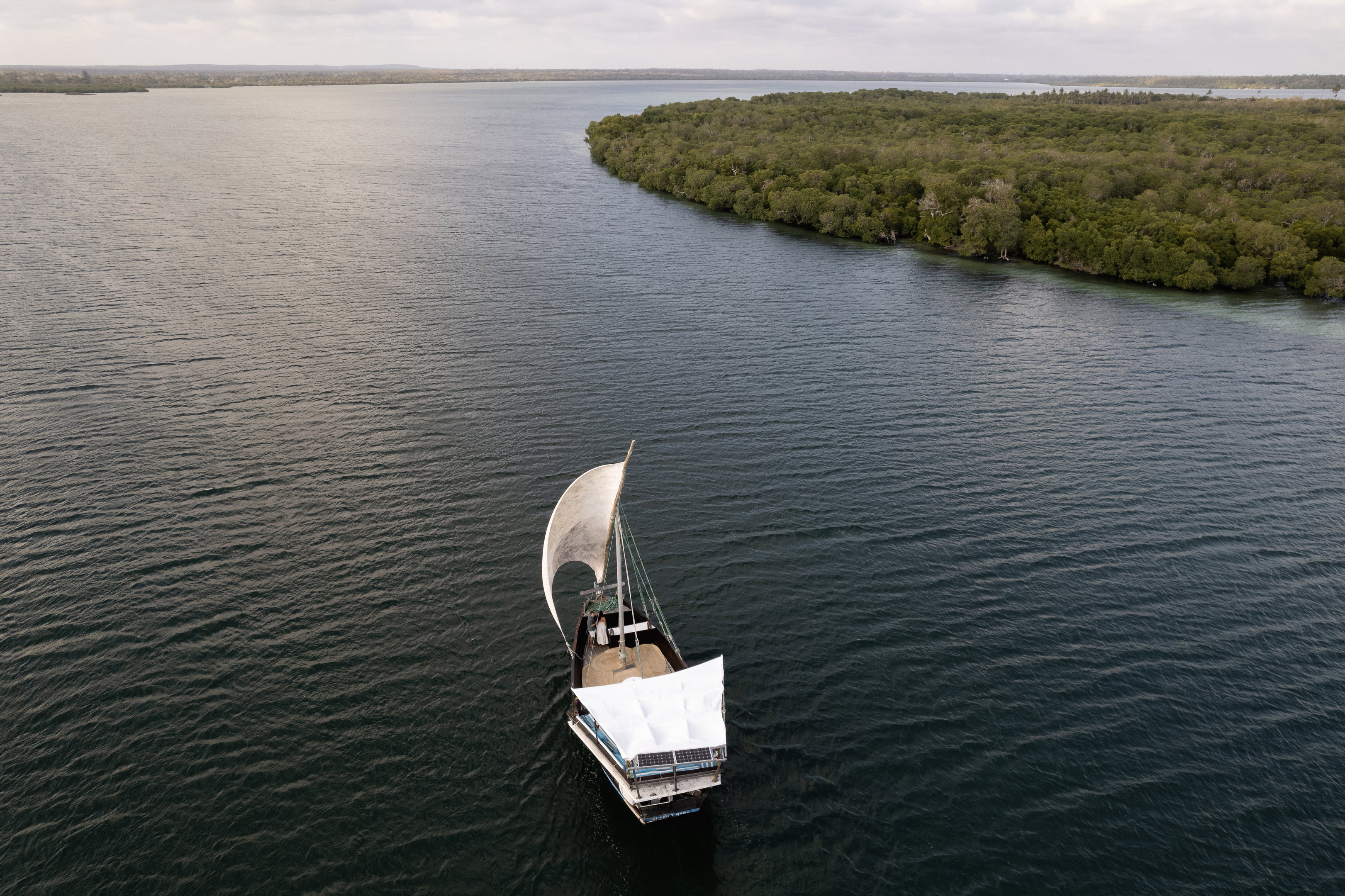 Mangrove Dhow Drift & Ancient Ruins