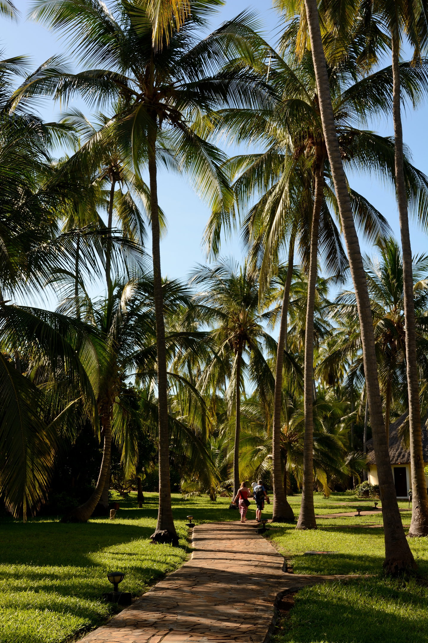 Zanzibar Spice Tour